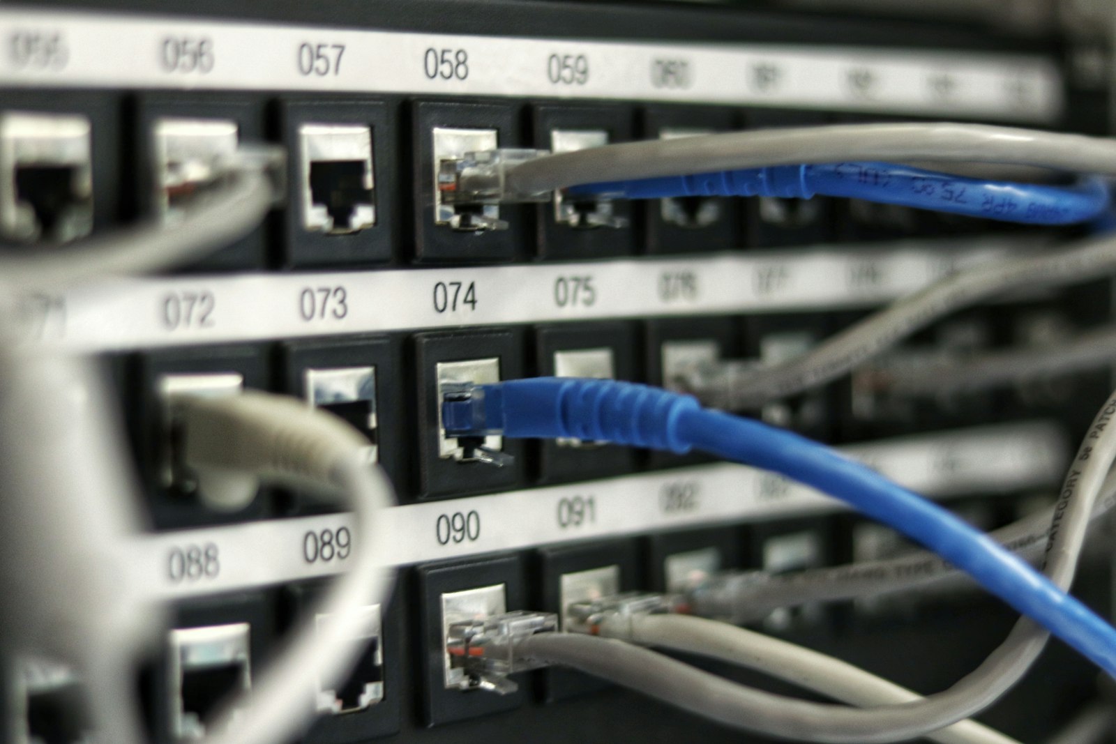 Panel de red con cables conectados